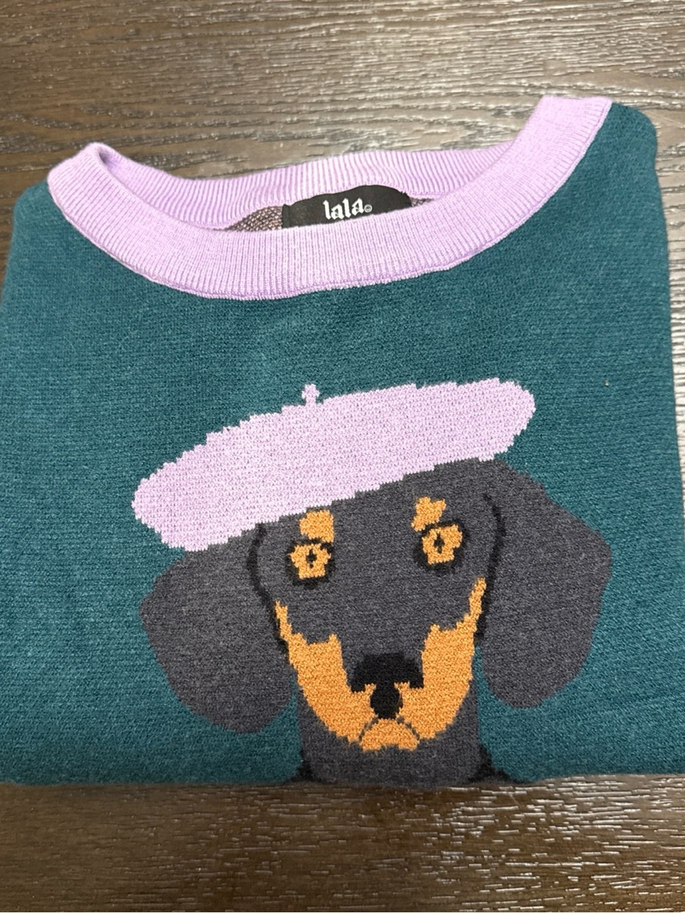 Dressed in LALA Teal Crewneck Sweater with Pink Trim & Dachshund Graphic - Picture 12 of 12